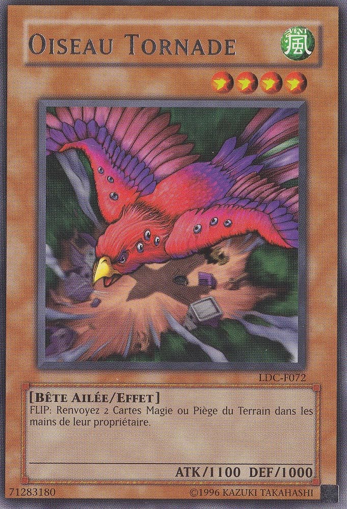 Oiseau Tornade