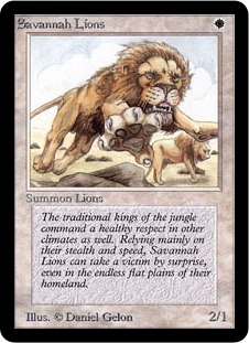 Savannah Lions
