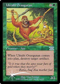 Uktabi Orangutan