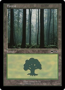Forest