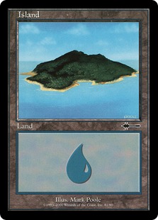 81