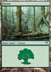 Forest