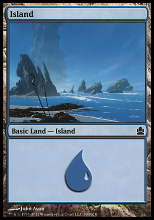 304