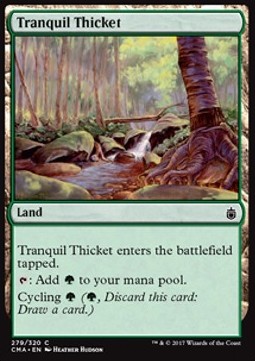 Tranquil Thicket