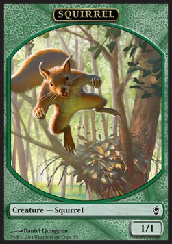 Squirrel