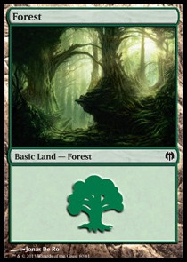 80