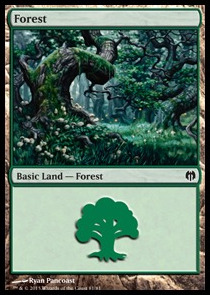 81