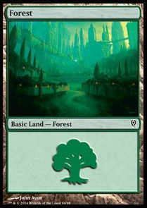 Forest