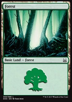 Forest