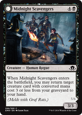 Midnight Scavengers // Chittering Host