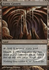 Zoetic Cavern
