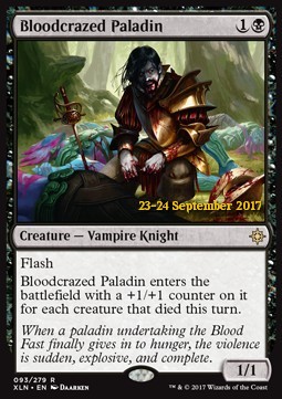 Bloodcrazed Paladin