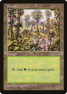 Forêt