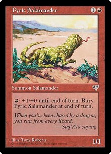 Salamandre pyrrique