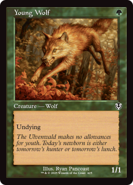 Old Frame
