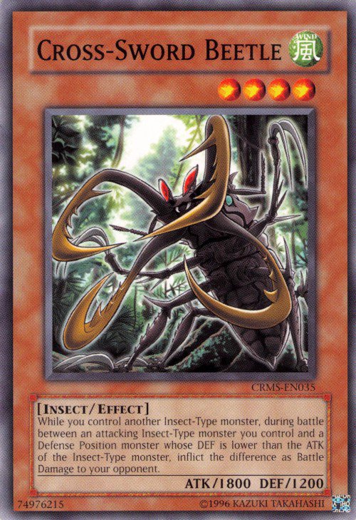 Cross-Sword Beetle