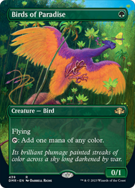 Extended Art