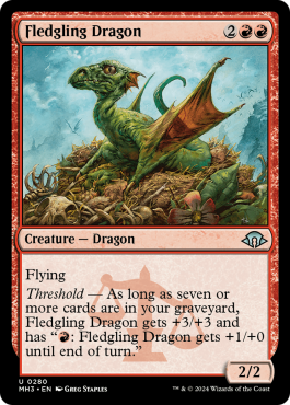 Dragon juvénile