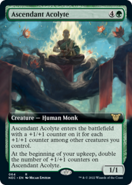 Extended Art