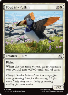 Toucan-macareux