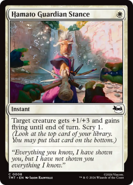 Posture du gardien hamato