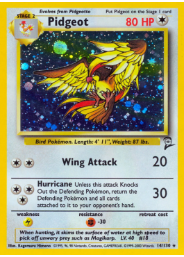 Pidgeot (B2 14)