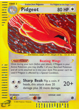 Pidgeot (EX 23)
