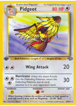Pidgeot (JU 24)