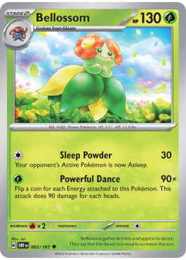 Joliflor  (OBF 003)