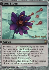 Lotus Bloom