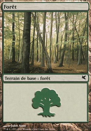 Version 19