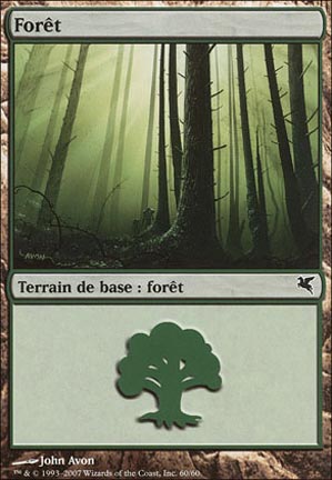 Version 40