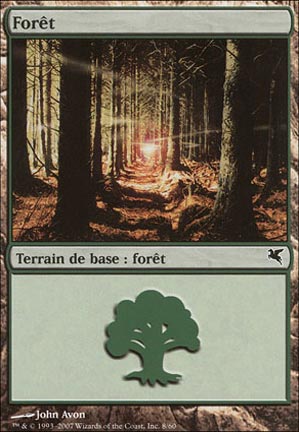 Version 41