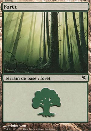 Version 6