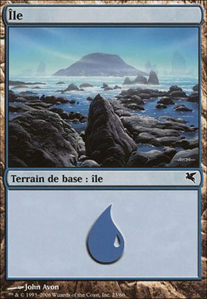 Version 31