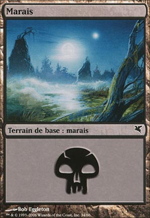 Version 13