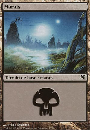 Version 51