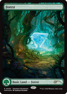 Standard Showdown 2024