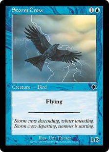 Storm Crow