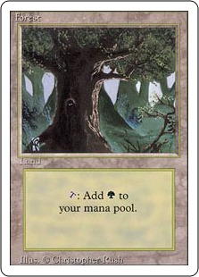 304