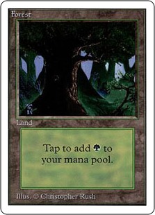 Dark tree in the forefront