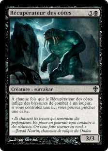 Shoreline Salvager