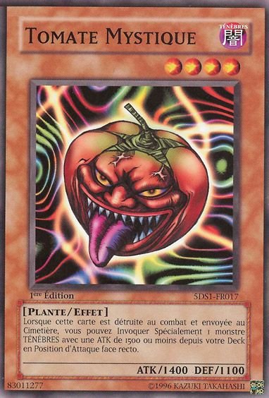 Tomate Mystique