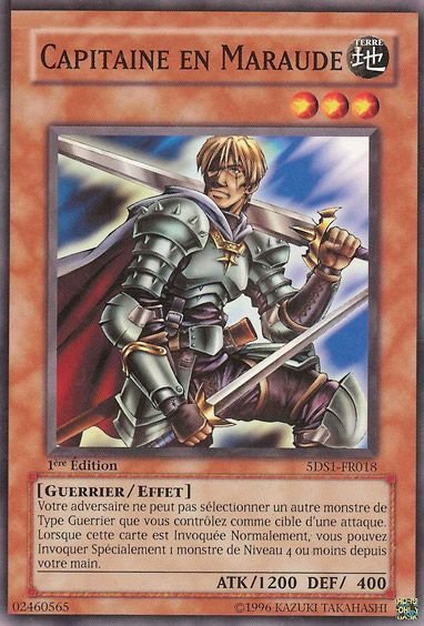 Capitaine En Maraude