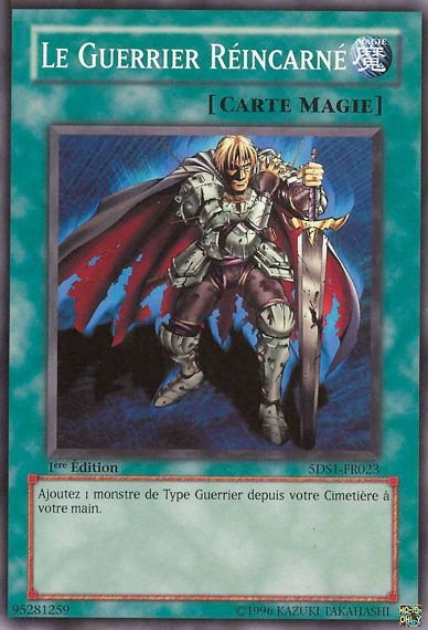 Le Guerrier Réincarné