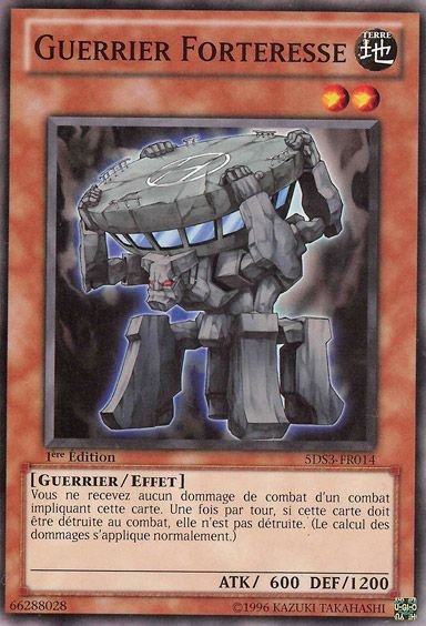 Fortress Warrior