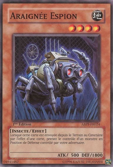 Araignée Espion
