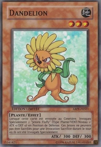 Dandelion