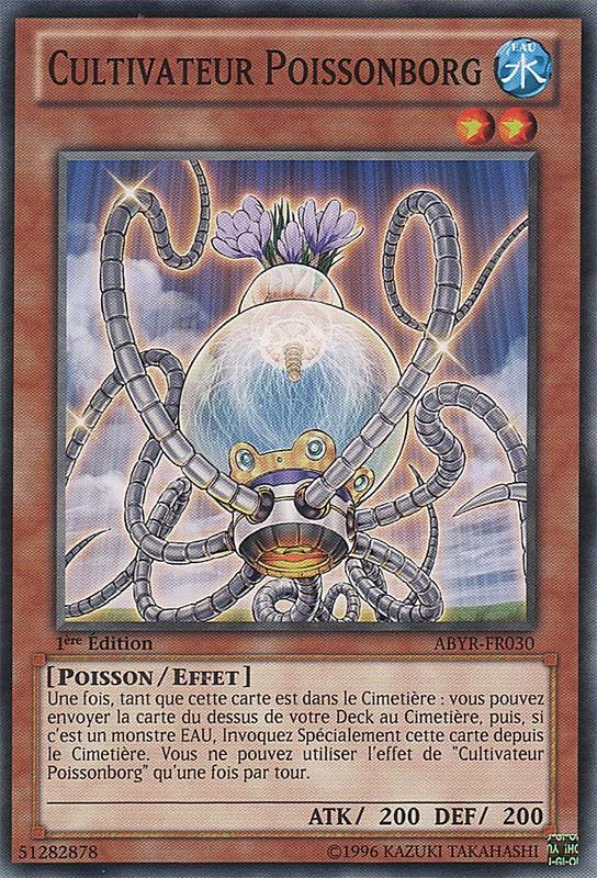 Cultivateur Poissonborg