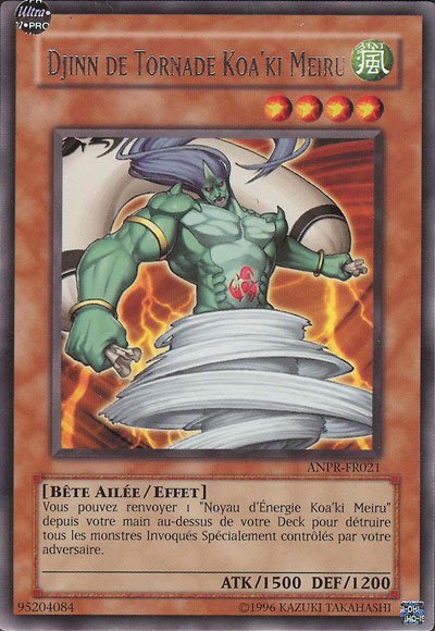 Djinn de Tornade Koa'ki Meiru